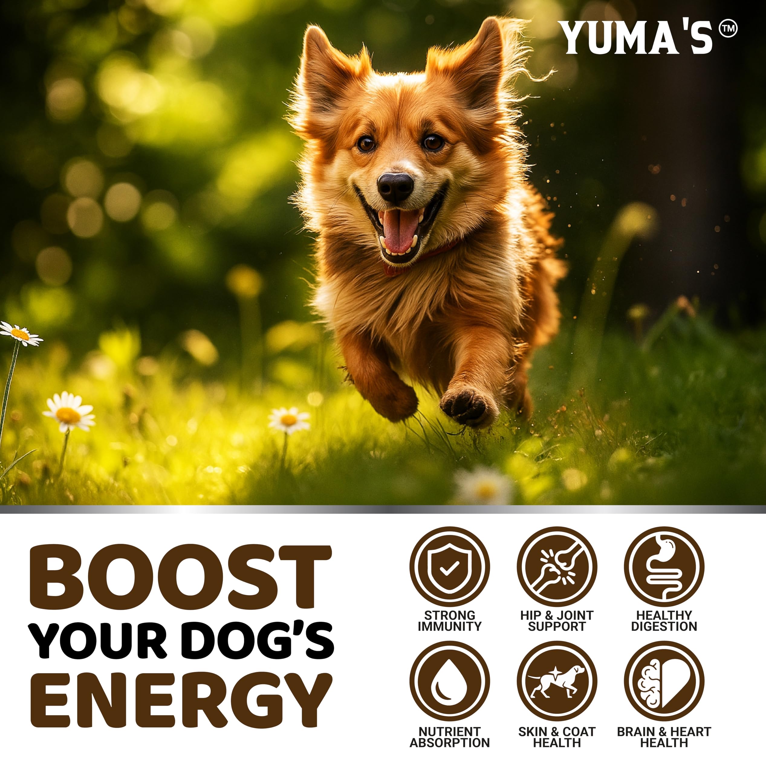 YUMA'S Cola de Pavo para perros: apoyo digestivo suave y cómodo día a día.