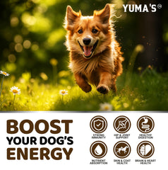 YUMA'S Cola de Pavo para perros: apoyo digestivo suave y cómodo día a día.