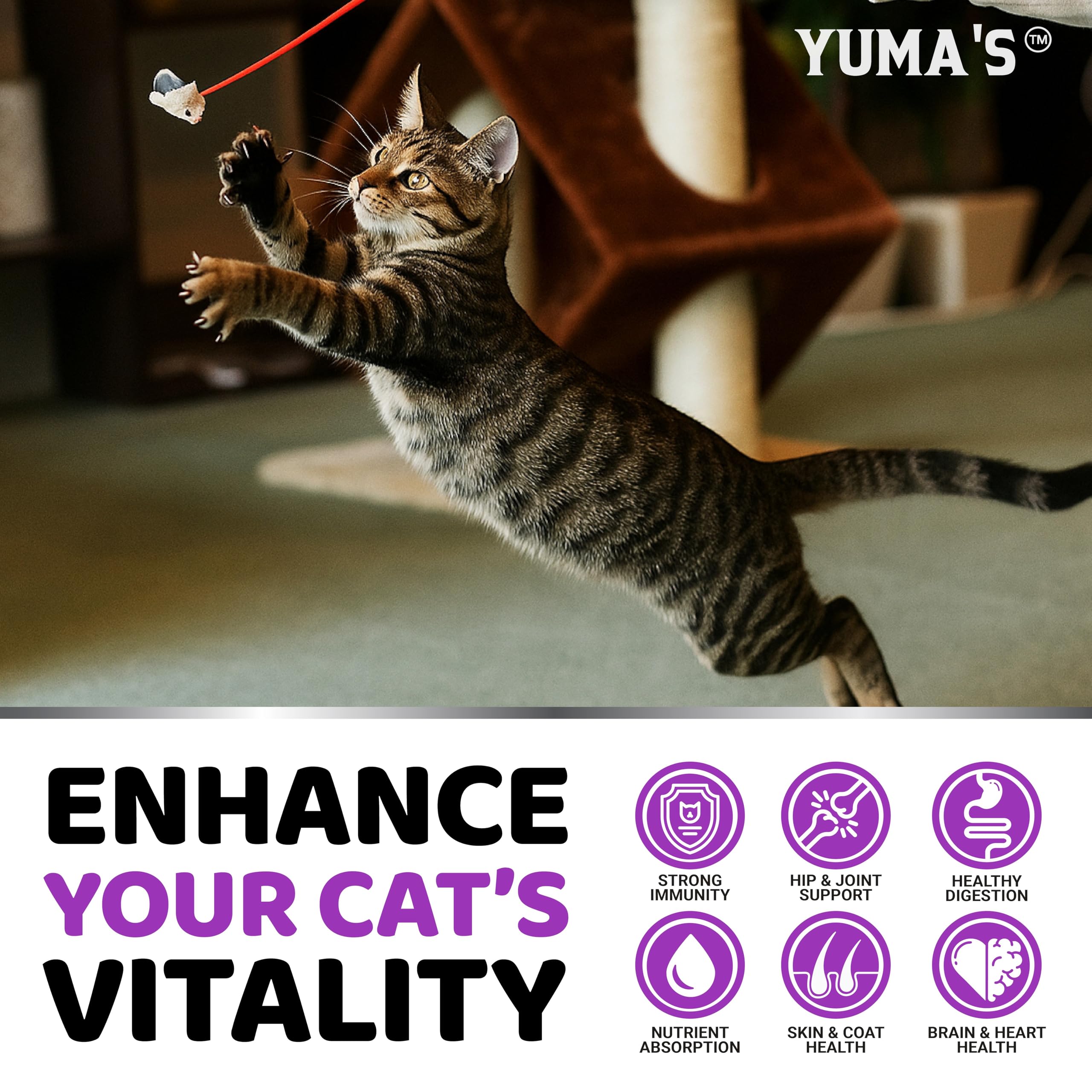 YUMA'S multivitaminas para gatos, mejora digestión y confort intestinal