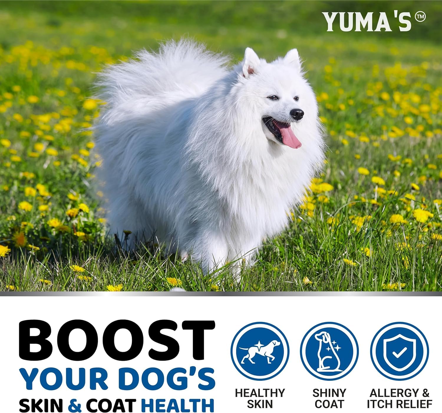 YUMA'S Omega-3 para perros: pelaje suave y brillo.