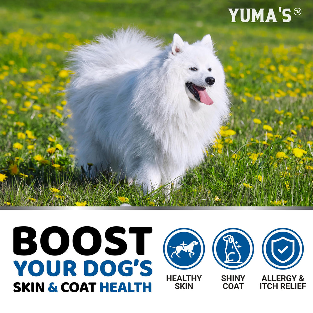 Perro con pelaje brillante gracias a YUMA'S Omega3.