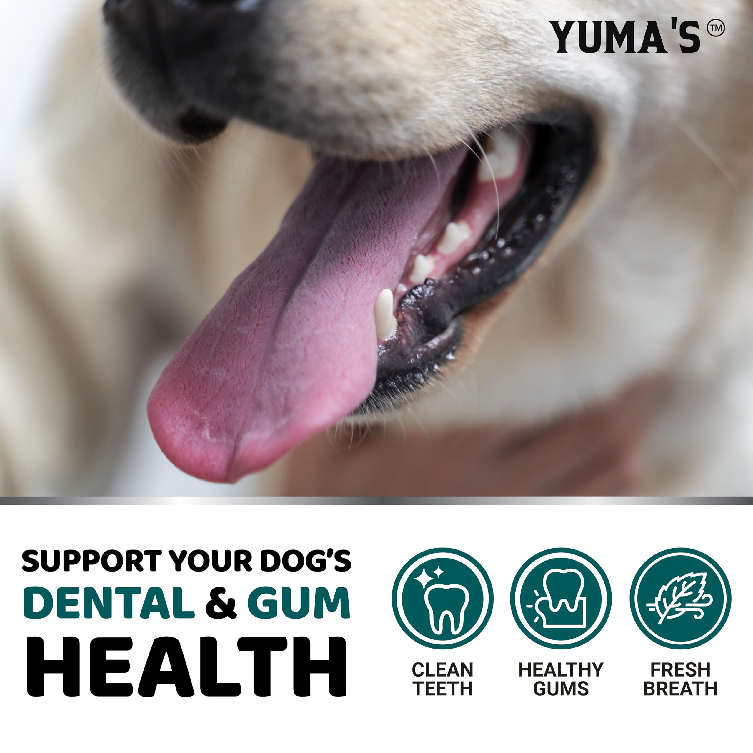 YUMA'S Polvo dental para perros, fabricación en EE. UU. y seguridad