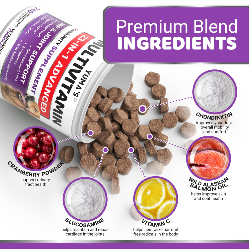 YUMA'S: probióticos para digestión y inmunidad de perros.