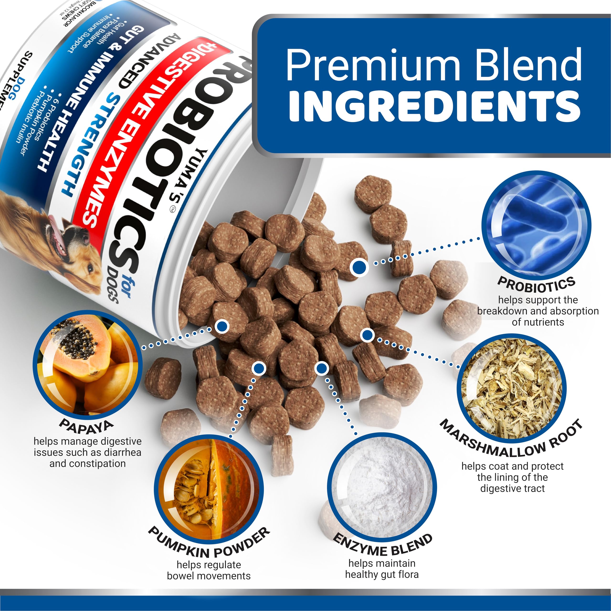 YUMA'S Probiotics para perros, primer plano de enzimas digestivas en las gomitas.