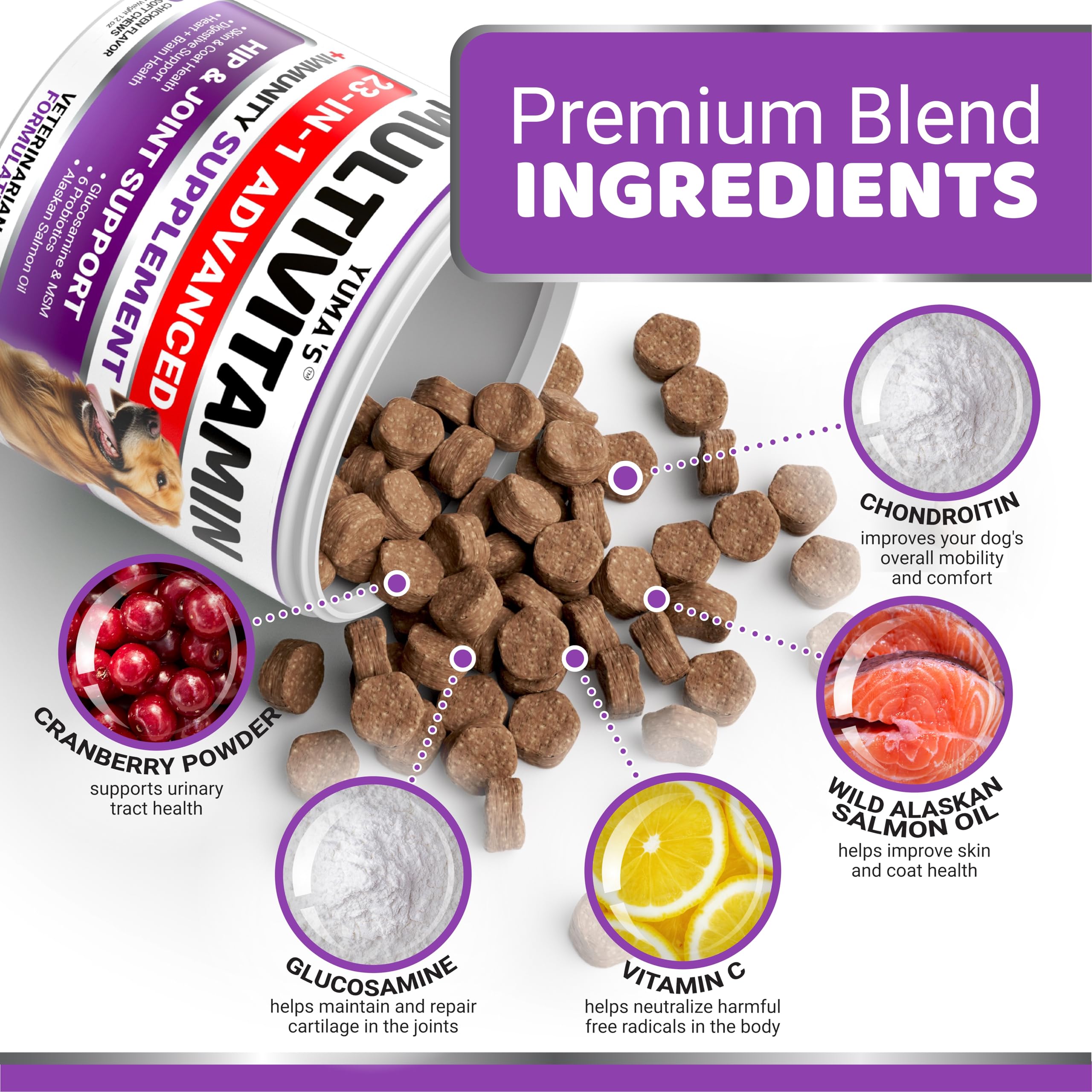 YUMA'S probióticos para perros: salud digestiva y flora intestinal equilibrada.