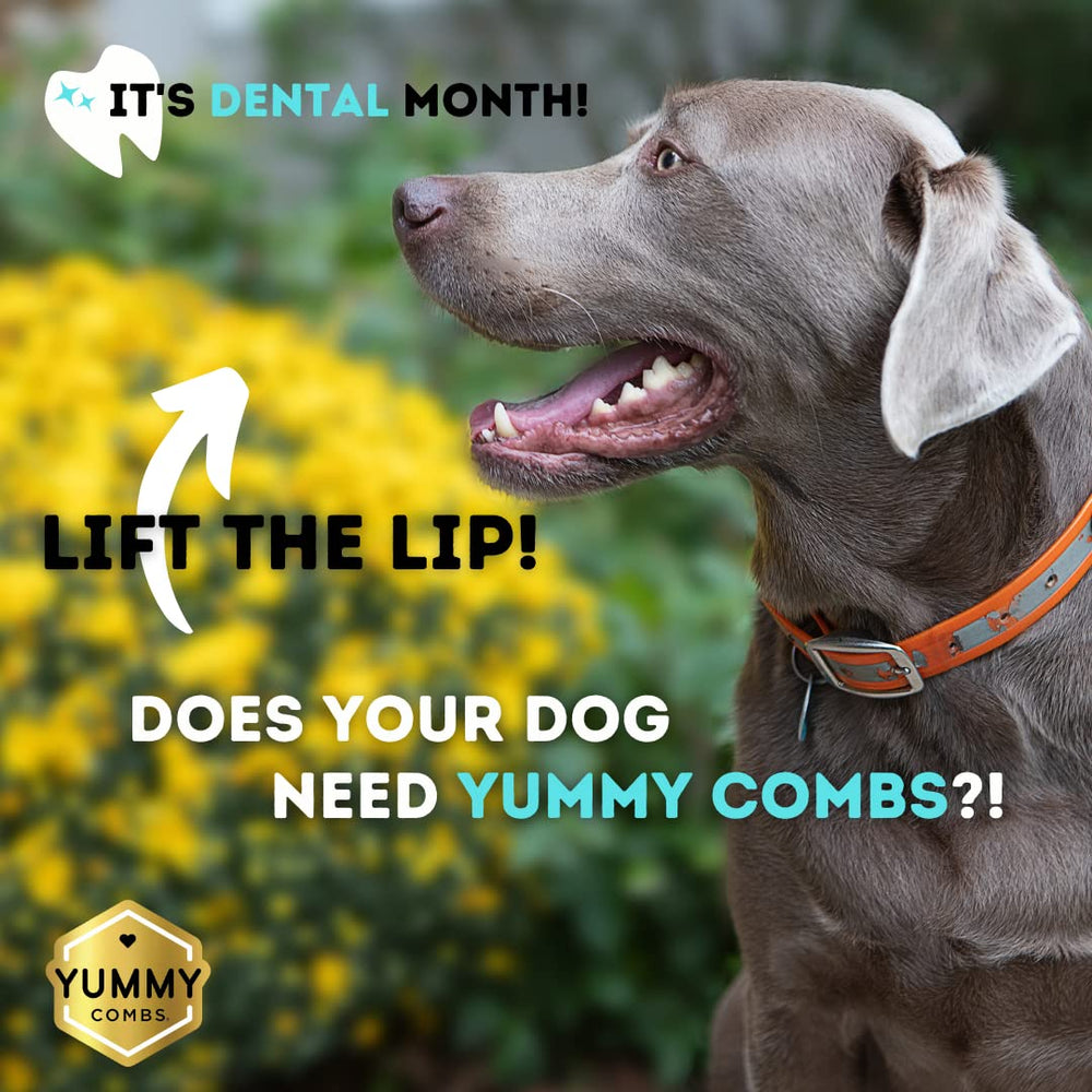 Yummy Combs con diseño de colmena dental rodeando cada diente.