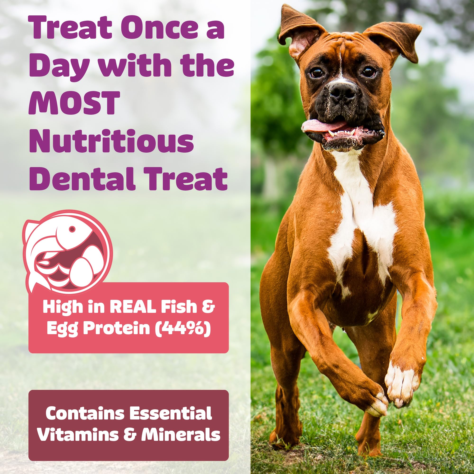 Yummy Combs panales para perros grandes que ayudan a higiene dental.