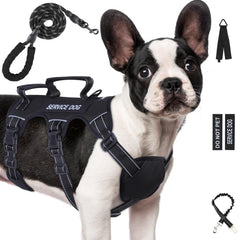 Arnés de la marca Yungaspy a prueba de fugas para perros grandes, ofrece control estable durante paseos.