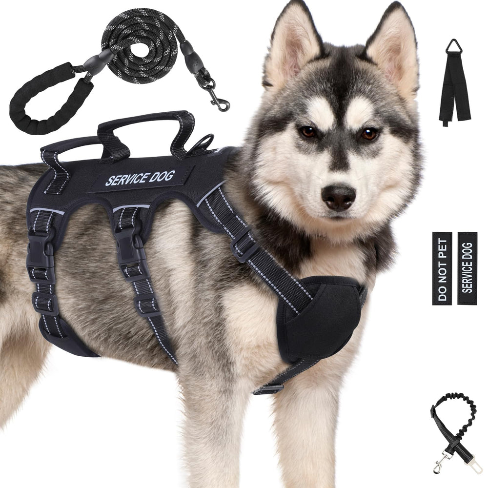 Arnés Yungaspy para perros, prueba de escape y seguridad en paseos.