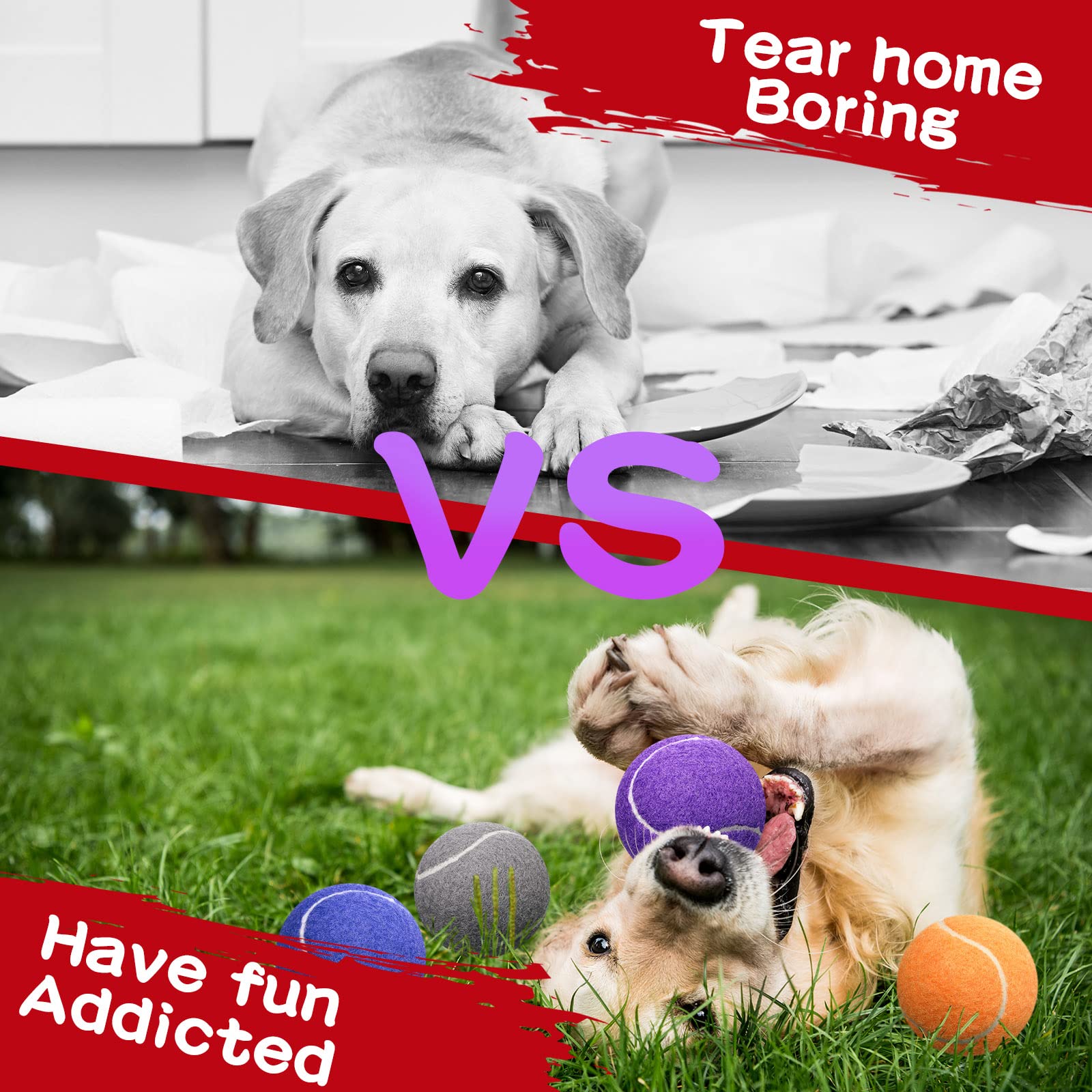Pelotas Yunsailing para juego y entrenamiento de perros en interiores y exteriores.