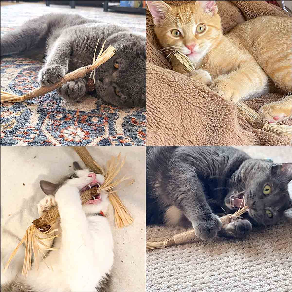 Juguete de gatos Silvervine de Yuntop, estímulo y entretenimiento para felinos.