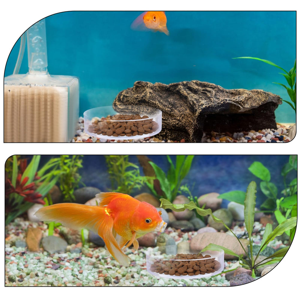 Yuomeaz plato para gambas grande, distribución estable en el acuario.