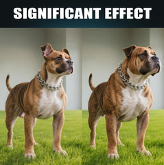 YWUJID masticables naturales para perros, salud general y bienestar.