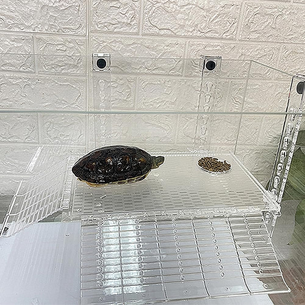 YXQ uso amplio para tortugas, lagartos y otros reptiles acuáticos.