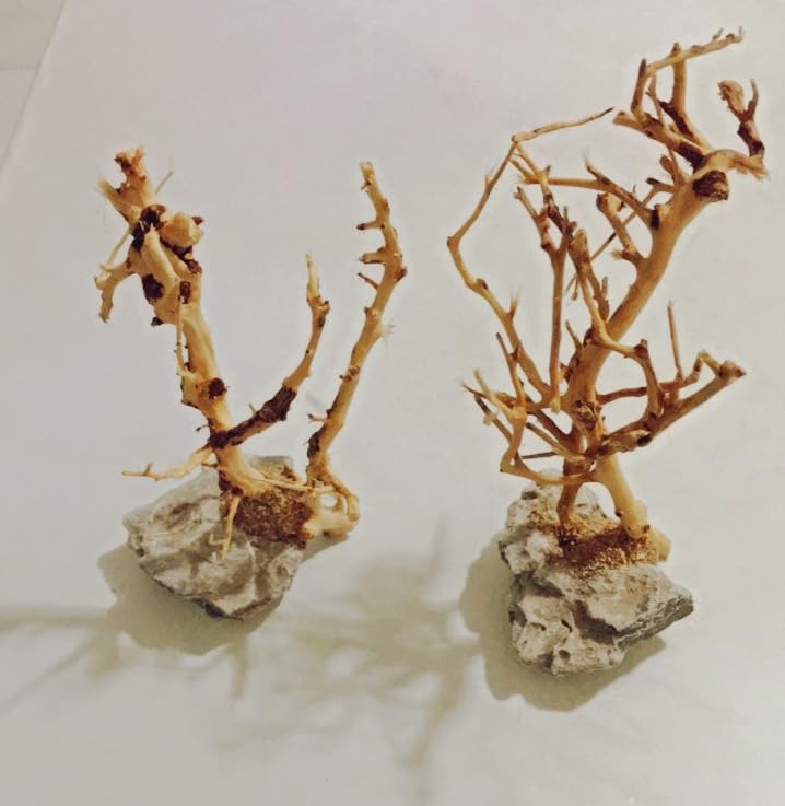 YZHZOM árbol bonsai para acuario, ambiente natural que ayuda a crear refugio visual para peces.