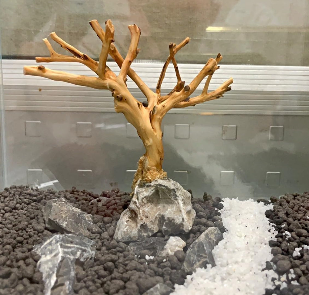 YZHZOM árbol bonsai para acuario, base de madera y roca que imita un entorno natural.