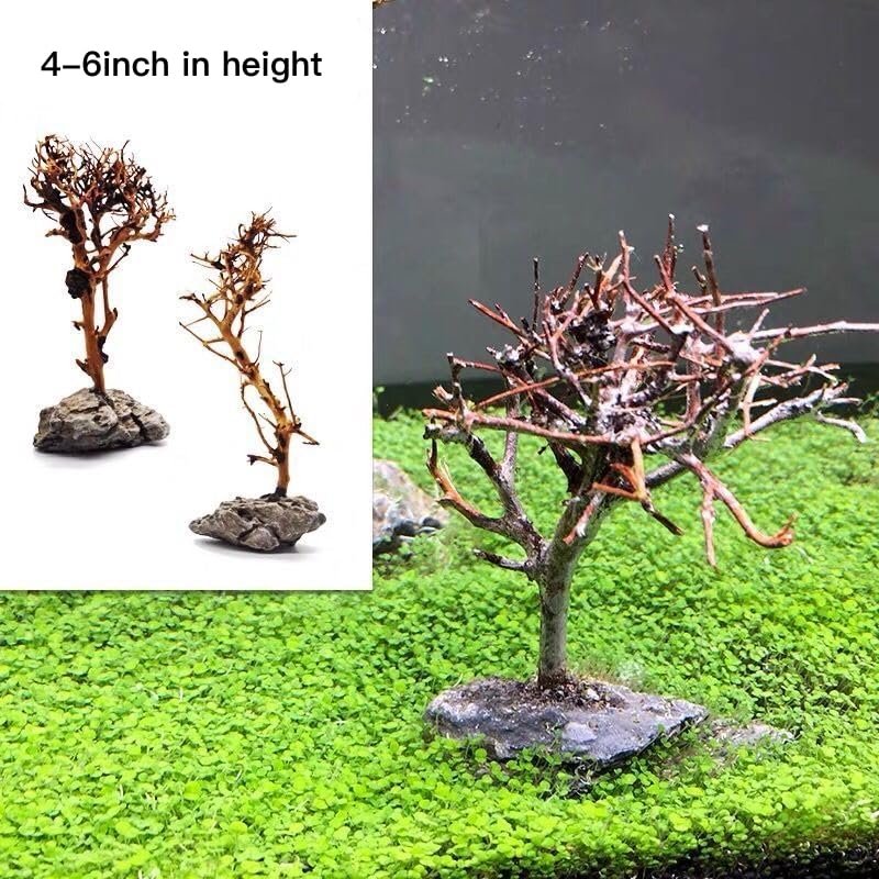 YZHZOM árbol bonsai para acuario, frontal 4-6 pulgadas, diseño equilibrado para el paisaje del tanque.