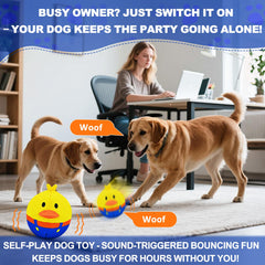 Perro jugando con el juguete interactivo ZanLLW para estimulación mental.