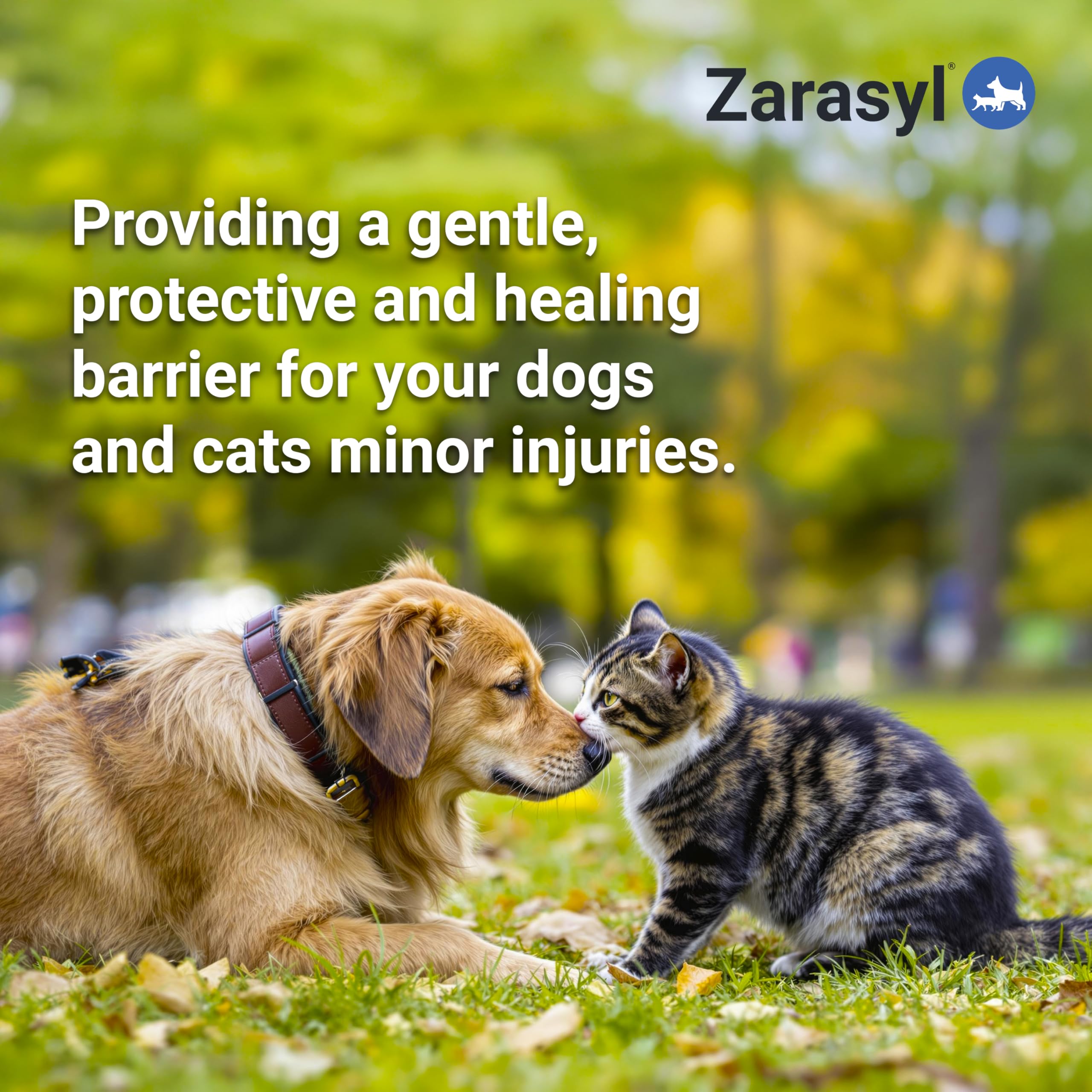 Zarasyl Companion ingrediente-silice-amorfa ayuda al cuidado de heridas menores.