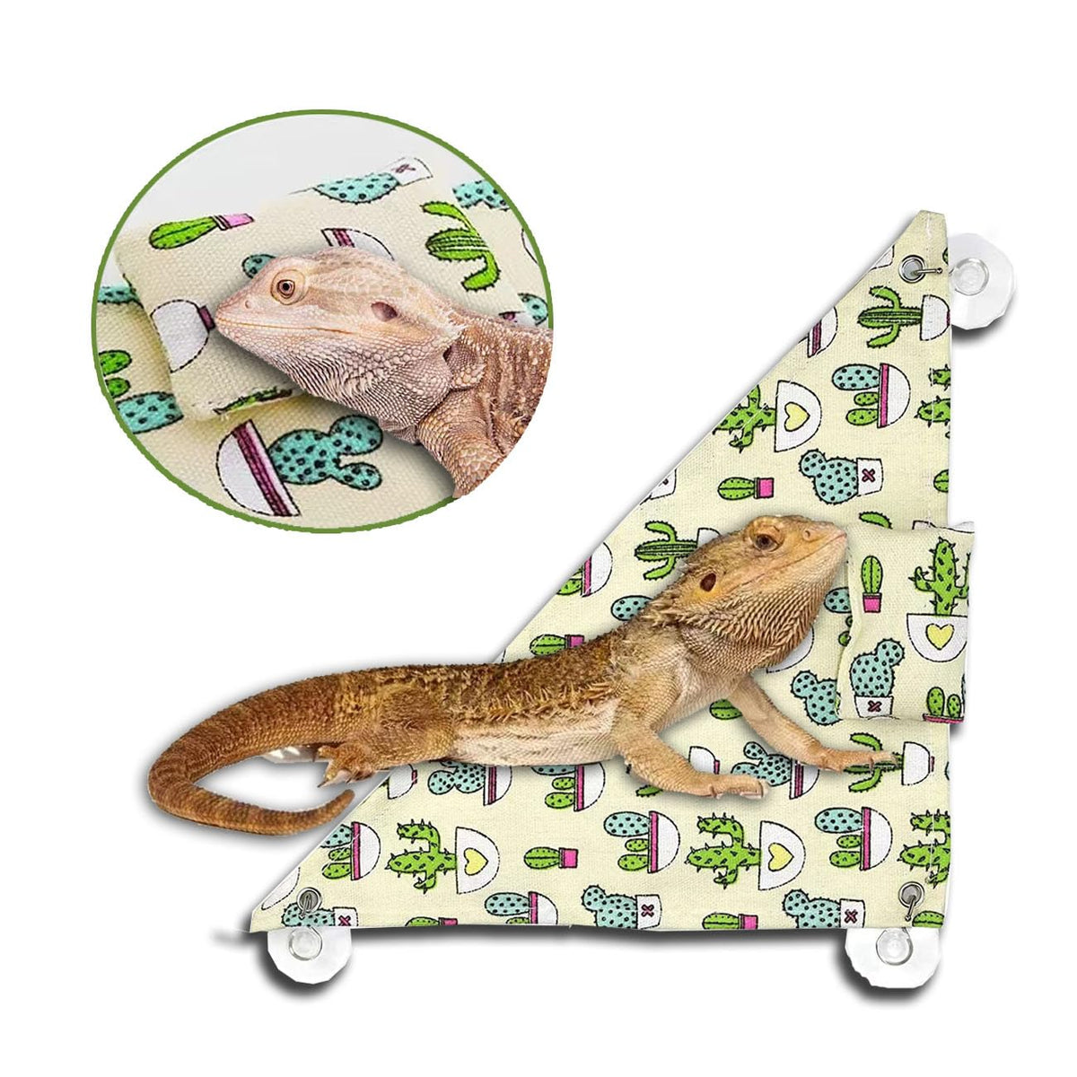 ZBJBinCH hamaca para dragon barbudo con cojín en el borde, descanso cómodo.
