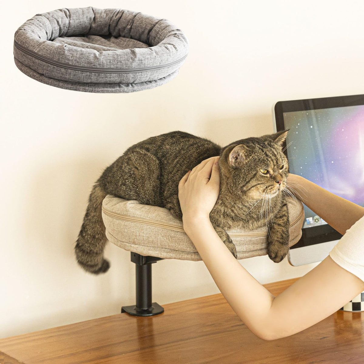 Cama de gato ZBUQ para escritorio, superficie 16x16 y cómodo acolchado.