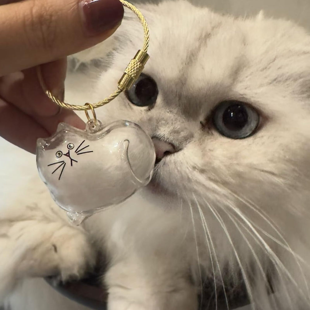 ZCVFA llavero memorial pelo gato práctico para recordar mascota.