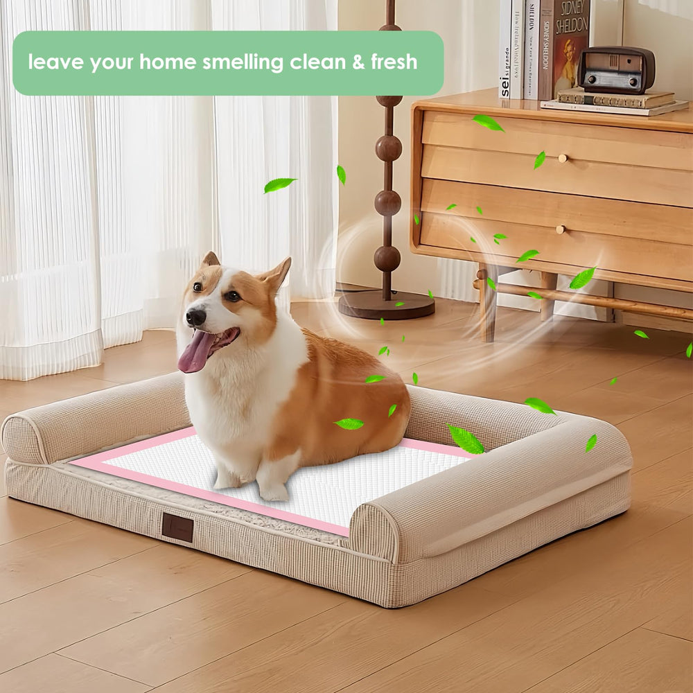 Almohadillas Zdolmy para entrenamiento, secado rápido para interiores y coche.