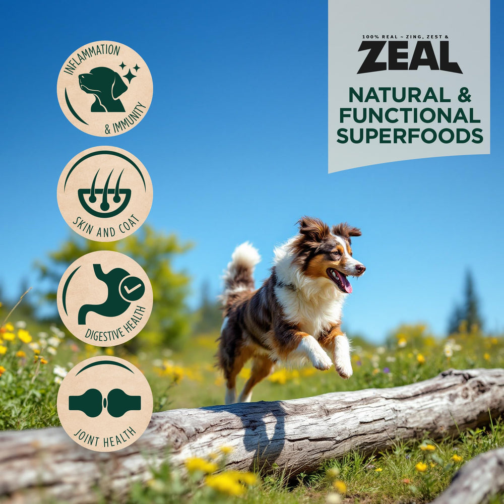 ZEAL sabor natural sin rellenos para perros selectos.
