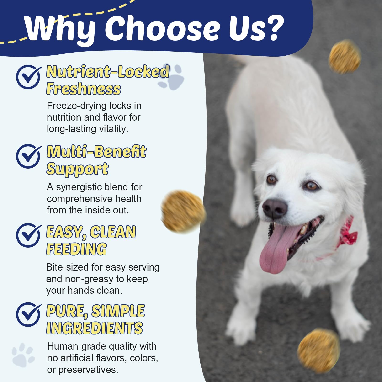 ZEBORA apoyo a articulaciones de perros con omega-3.