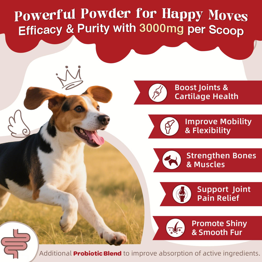 ZEBORA glucosamina para perros movilidad mejorada en paseos y juegos.