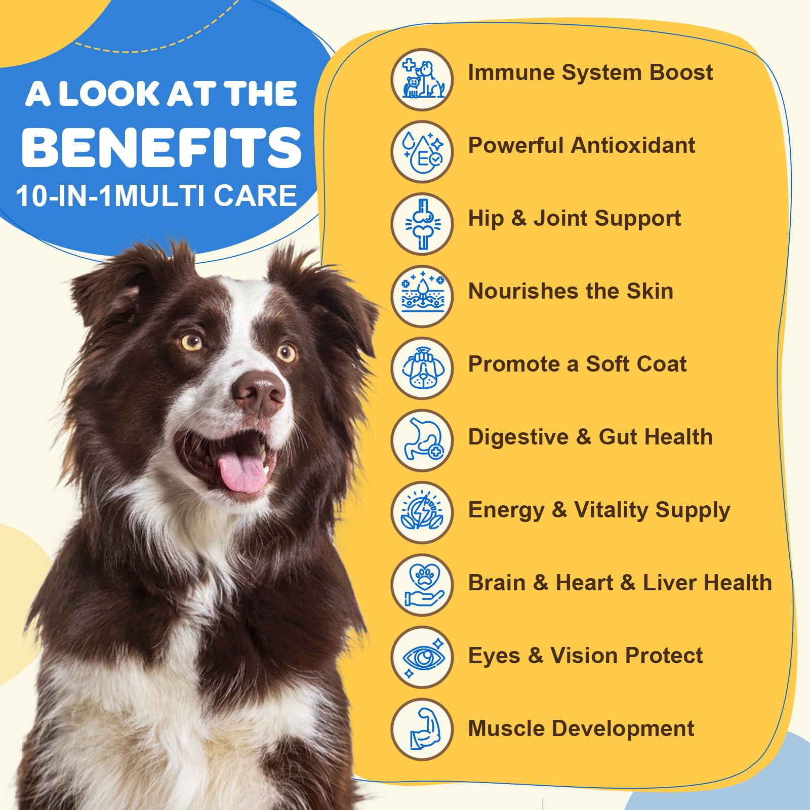 ZEBORA probióticos para perros con 1 billón CFU para apoyo digestivo.