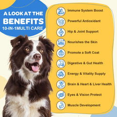 ZEBORA probióticos para perros con 1 billón CFU para apoyo digestivo.