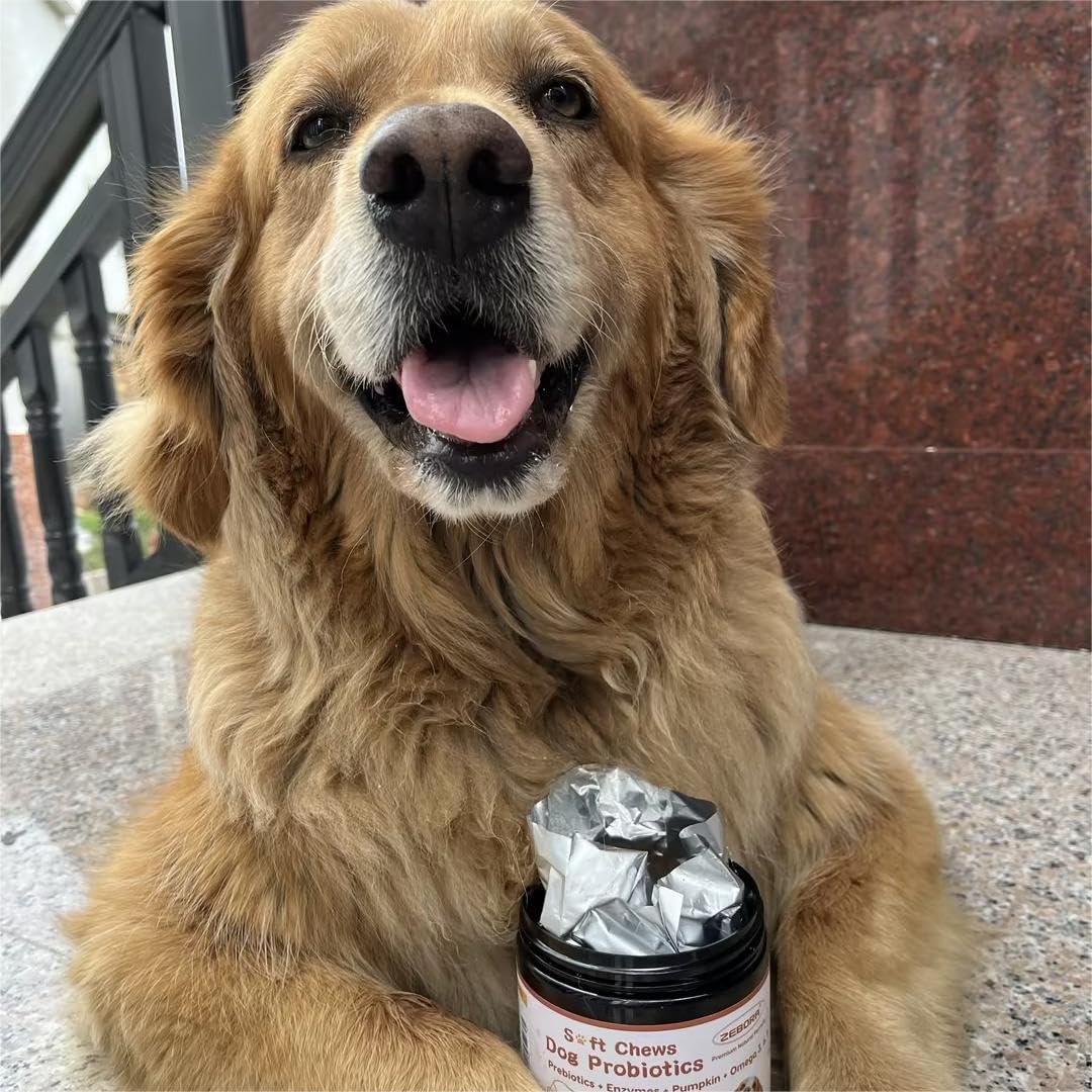 ZEBORA daily-use probiotic treats fit any feeding routine