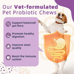 ZEBORA Probiotics para perros: pastillas crujientes con calabaza para digestión.
