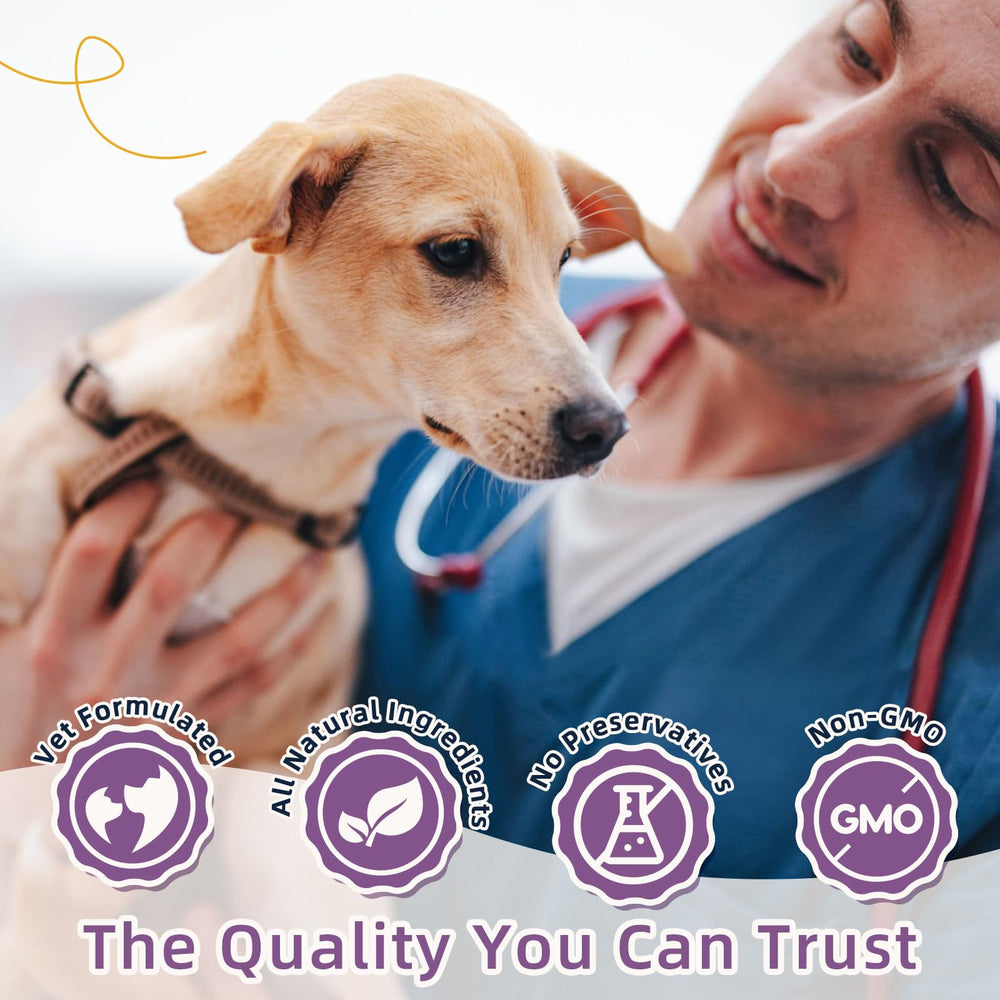 ZEBORA Probiotics para perros: snack sabroso de pollo y calabaza.