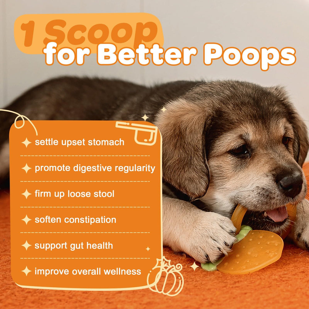 ZEBORA polvo de calabaza para perros, fibra natural para la digestión