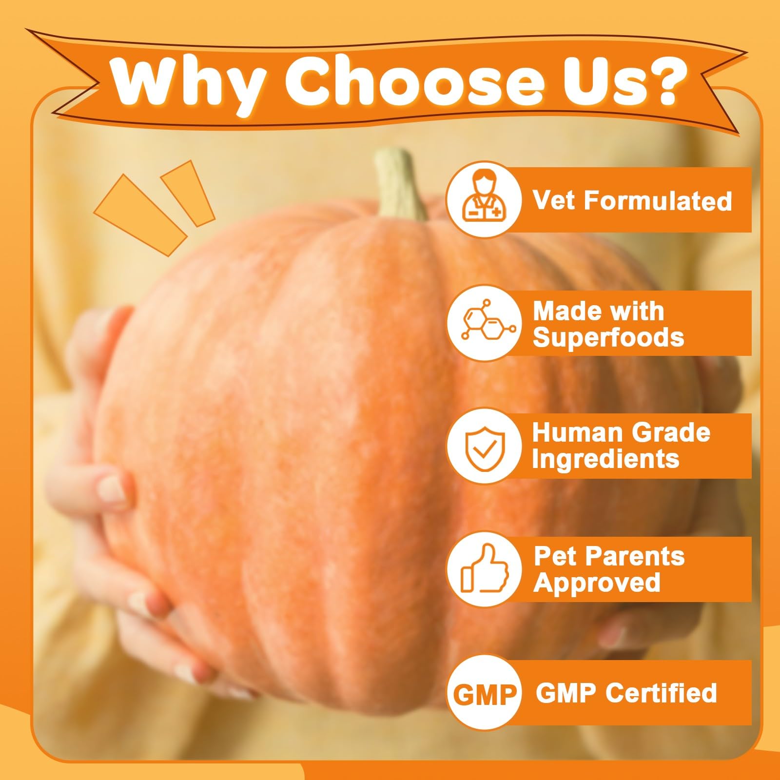 ZEBORA puré de calabaza para perros preparado para servir