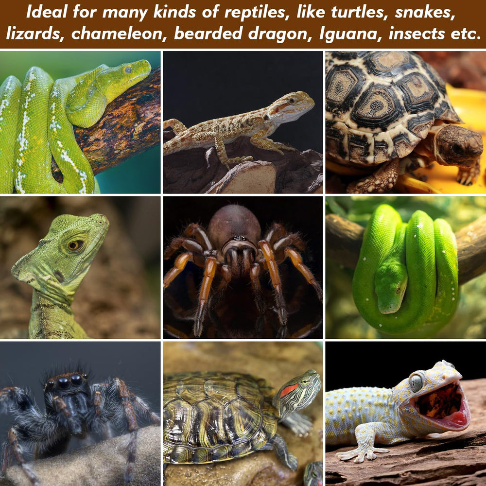 ZeeDix uso versátil para diversos reptiles y decoraciones