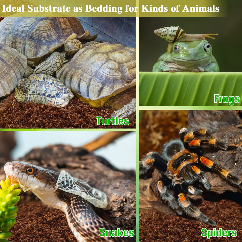 ZeeDix ladrillos compostables para terrario y reduccion de residuos