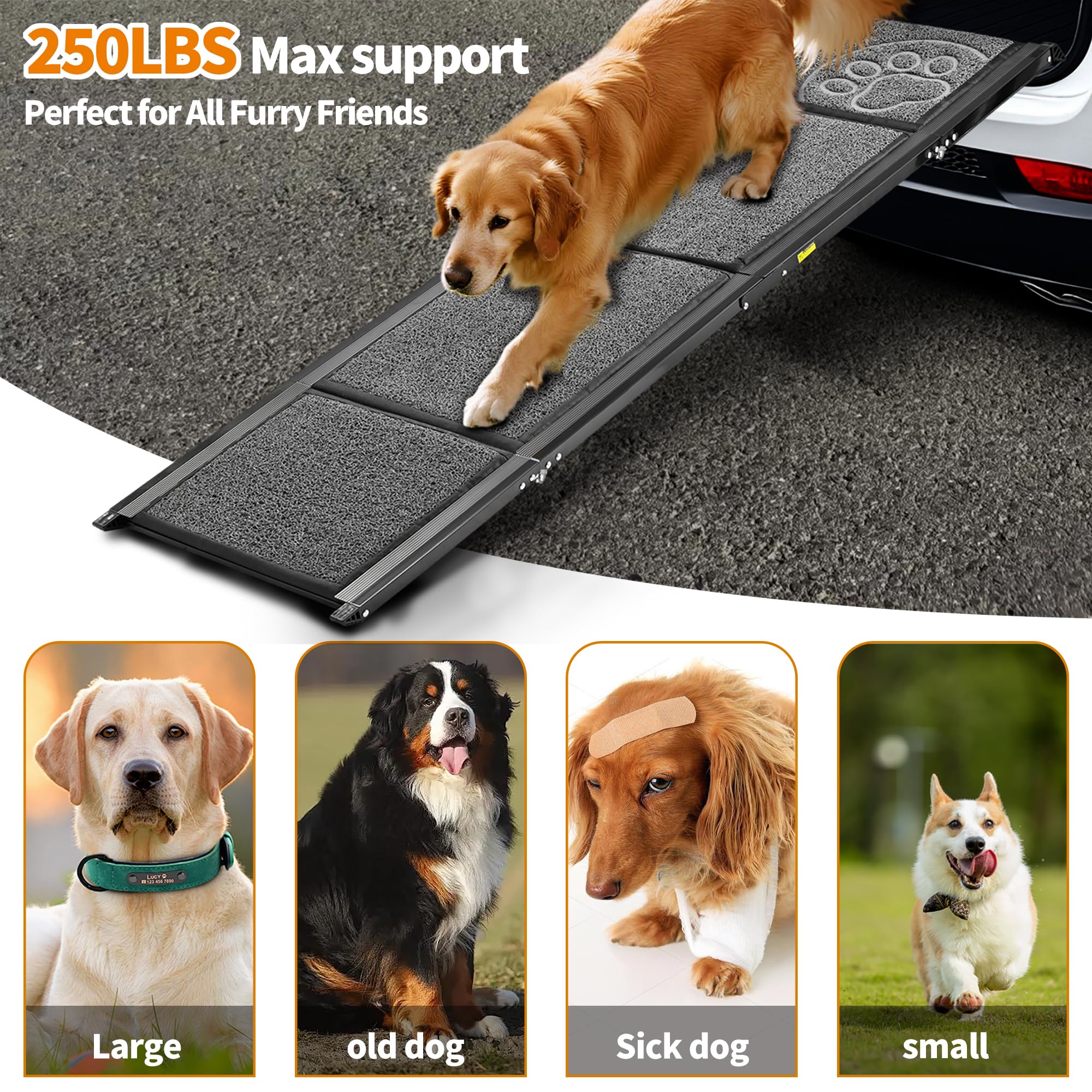Zendova rampa para perros uso interior y exterior con diseño seguro.