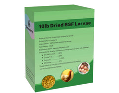Las larvas BSF secas de ZenithWorks en envase hermético para conservar frescura.