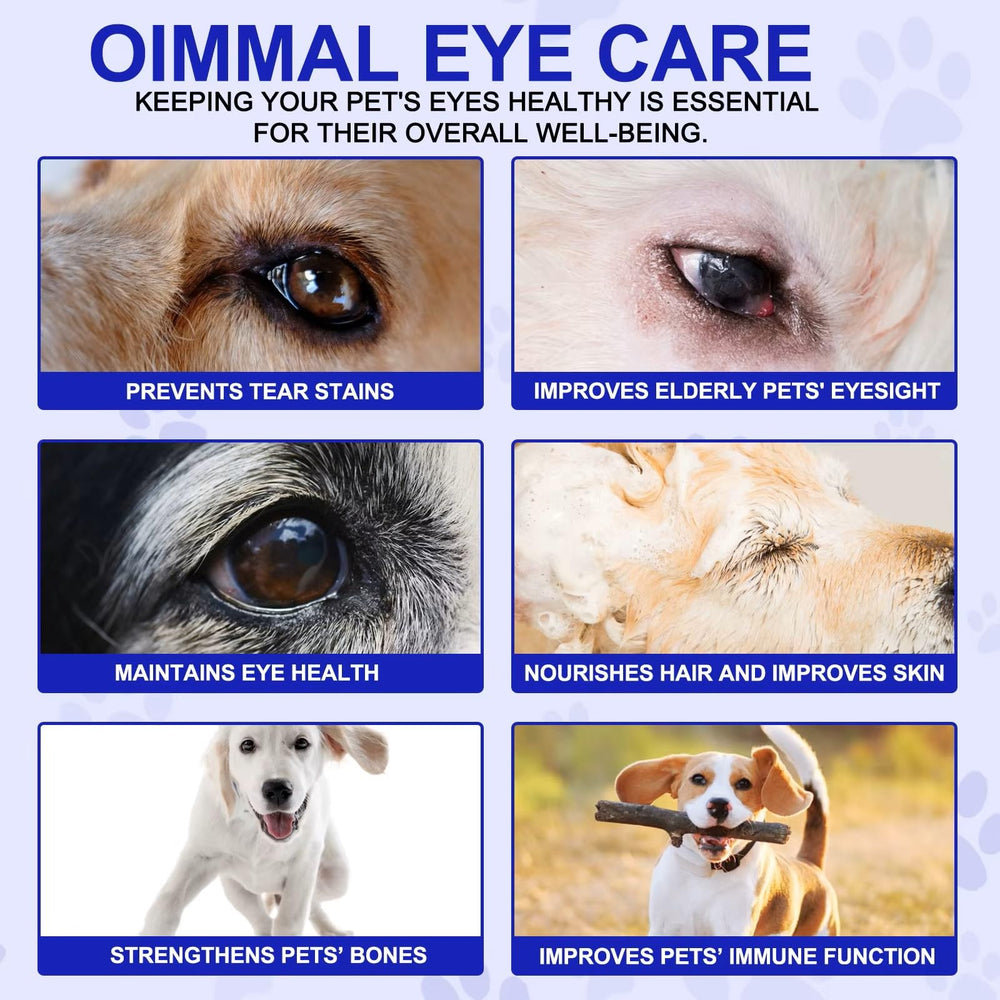 Zenpaws: cápsulas de visión para perros lista para uso diario.