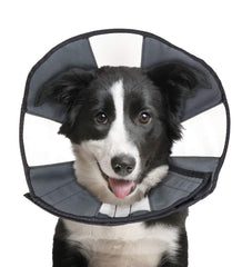 ZenPet collar de recuperación con visibilidad clara para comer y moverse con confort.