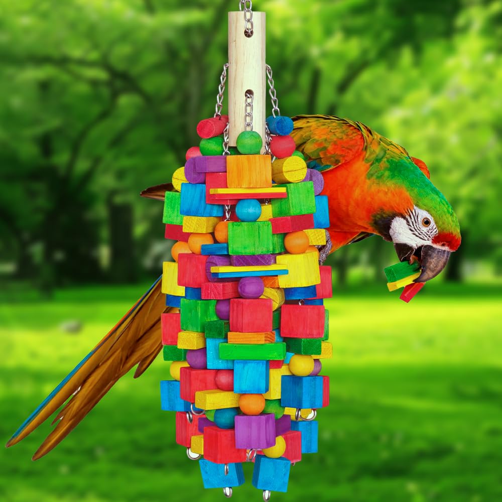 Zephyriel Estimulacion Mental Juguete Loro: fomenta el forraje y la atención.