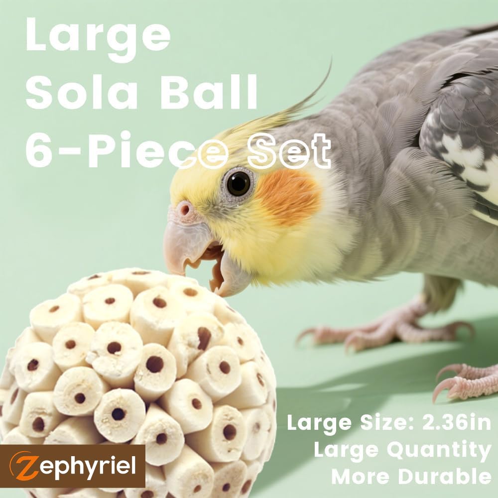 Zephyriel Juguete forraje: bola Sola Atta, textura natural para exploración.