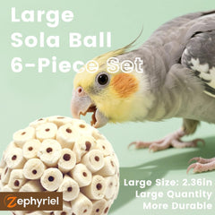 Zephyriel Juguete forraje: bola Sola Atta, textura natural para exploración.