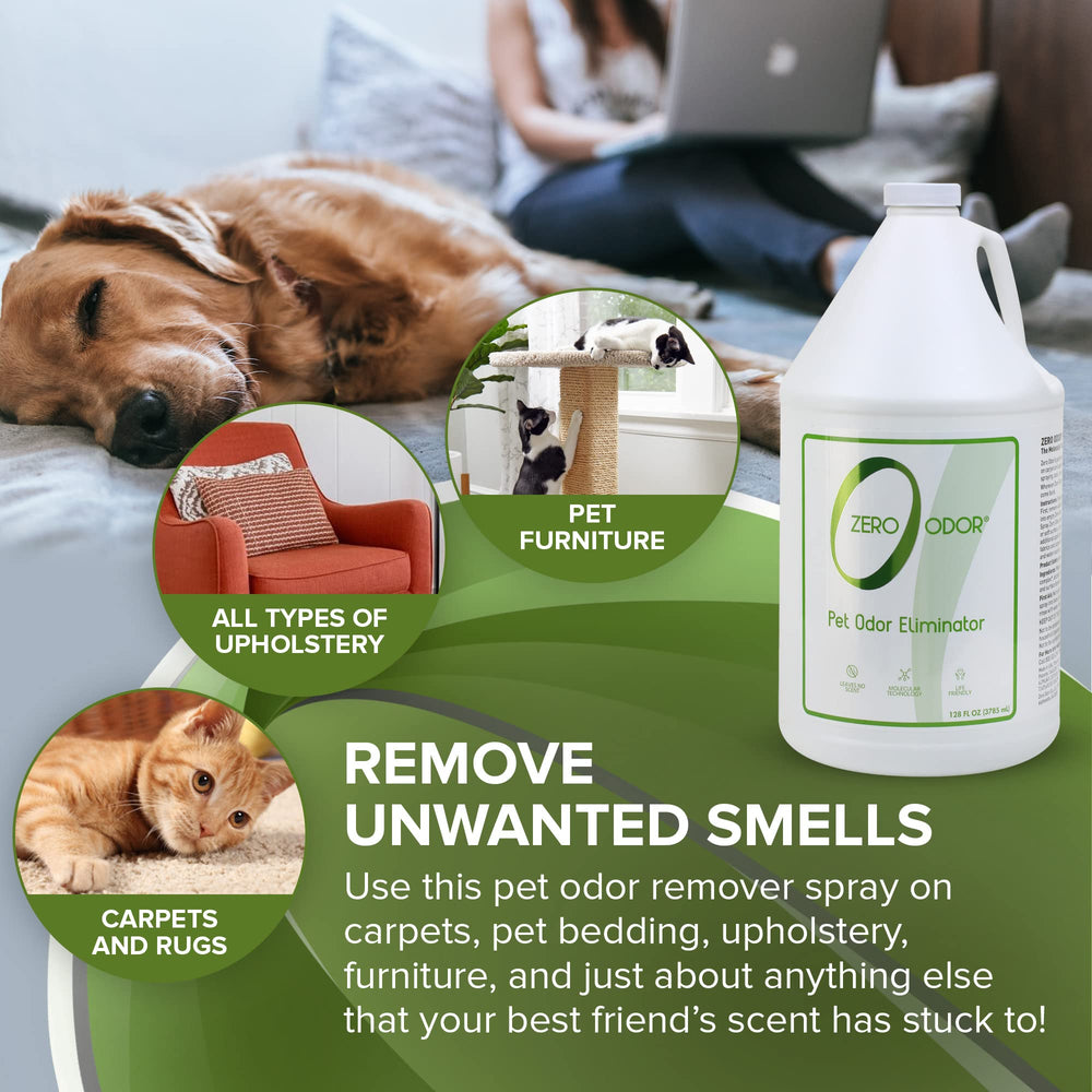 Zero Odor: elimina olores de alfombras con eficacia sostenible