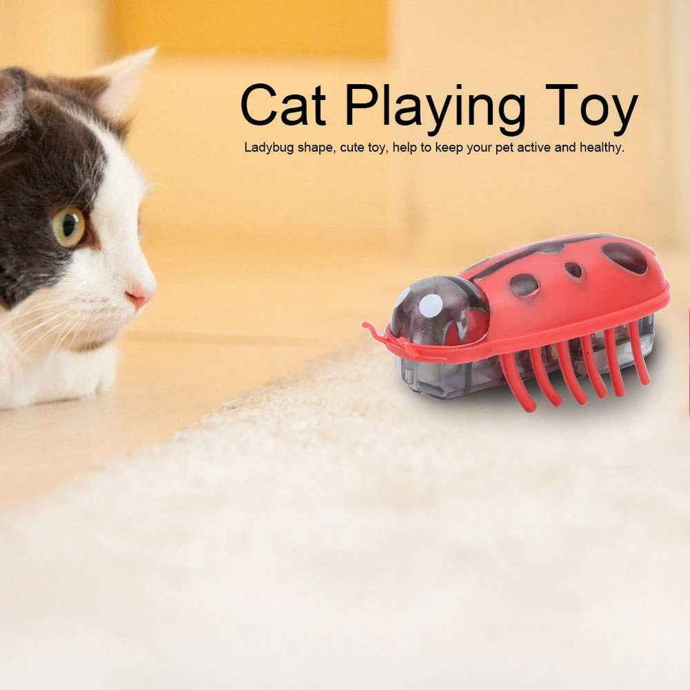 Zerodis, diseño lindo para mantener activo al gato durante el juego