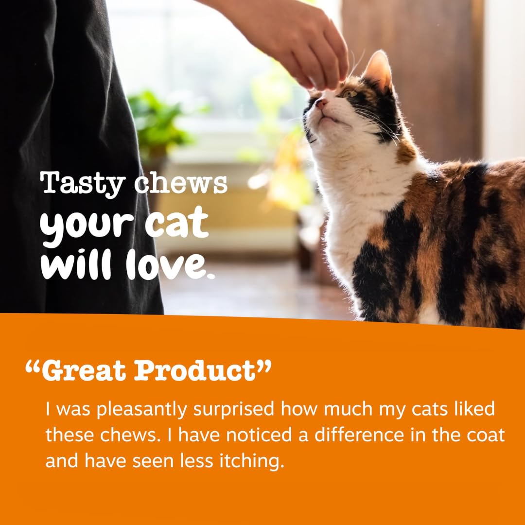 Zesty Paws: Astrágalo y Quercetina para defensa inmunitaria felina.