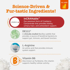 Zesty Paws bacillus subtilis DE111 para gato y salud digestiva